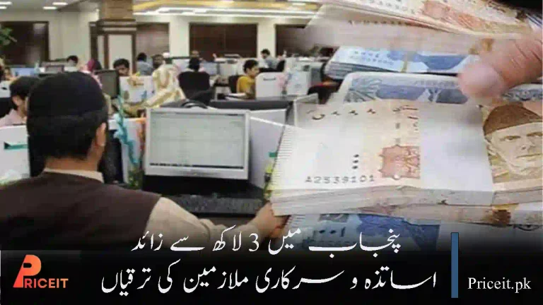 Punjab to Promote Over 300,000 Teachers and Govt Employees