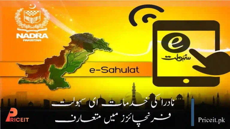 NADRA Services Launched at e-Sahulat Franchises Under Pilot Project