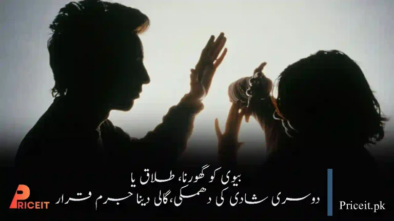 Domestic Violence Bill 2025 in Pakistan: Full Explanation of New Law Protecting Wives, Children, and Families
