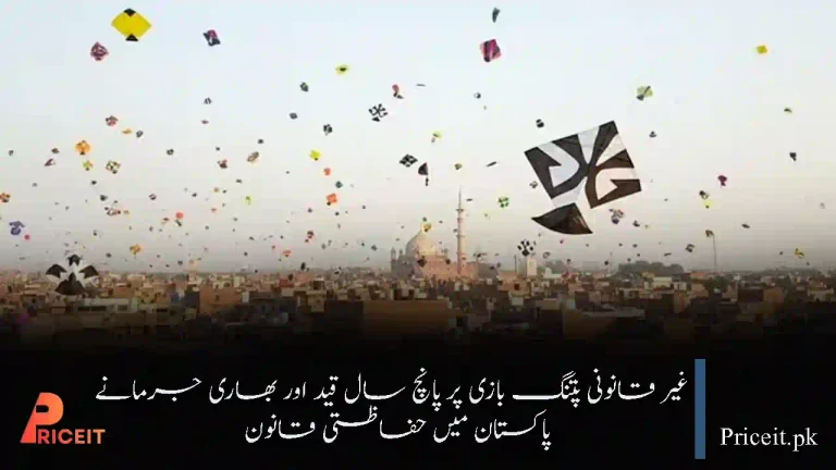 Five-Year Jail Term, Heavy Fines Announced for Illegal Kite Flying