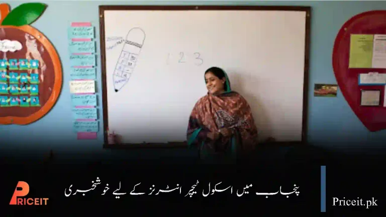 Good News for School Teacher Interns in Punjab